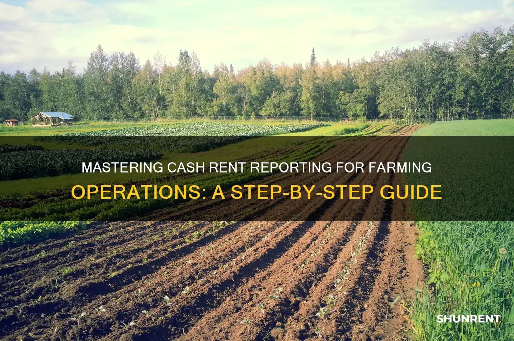 how do you reprot farming cash rent