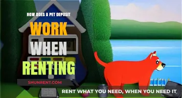 Understanding Pet Deposits: A Guide for Renters and Landlords
