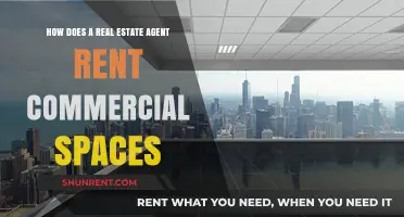 How Real Estate Agents Successfully Rent Commercial Spaces: A Guide