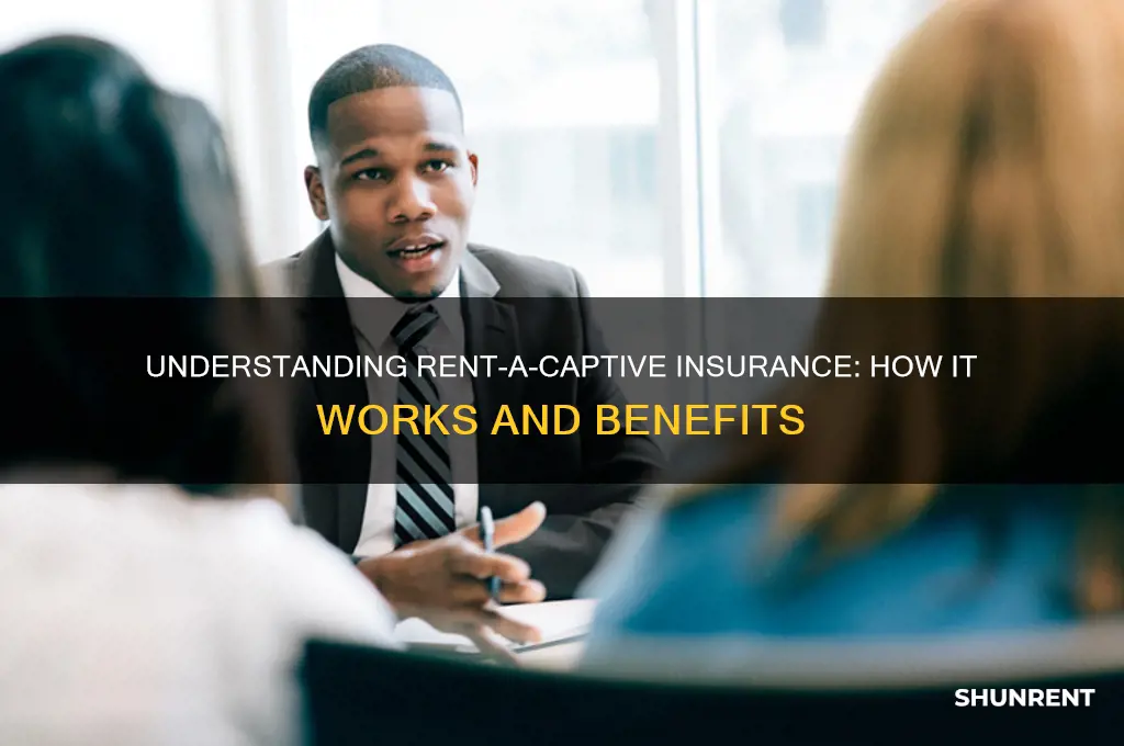 how does a rent a captive work