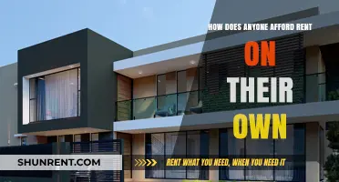 Surviving Solo: Strategies to Afford Rent on Your Own