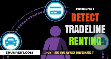 Unveiling FICO 8's Tradeline Renting Detection: Strategies and Insights