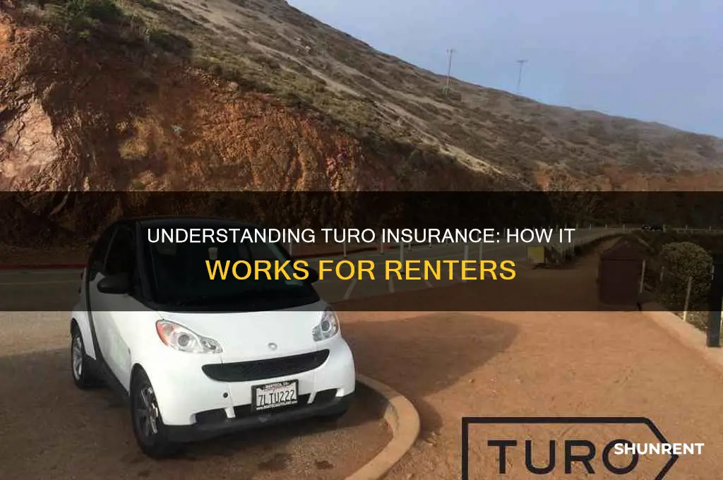 how does insurance for turo work for renter