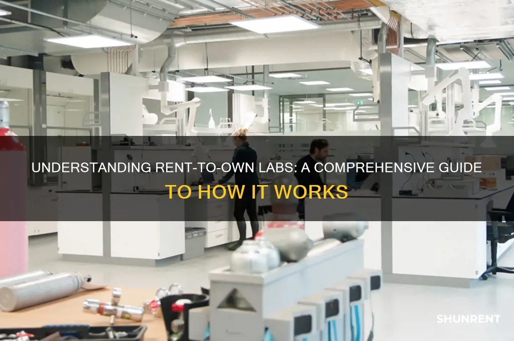 how does rent to own labs work