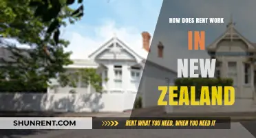 Understanding Rent in New Zealand: A Comprehensive Guide for Tenants