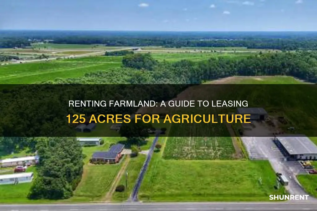 how does renting 125 acres of farmland work