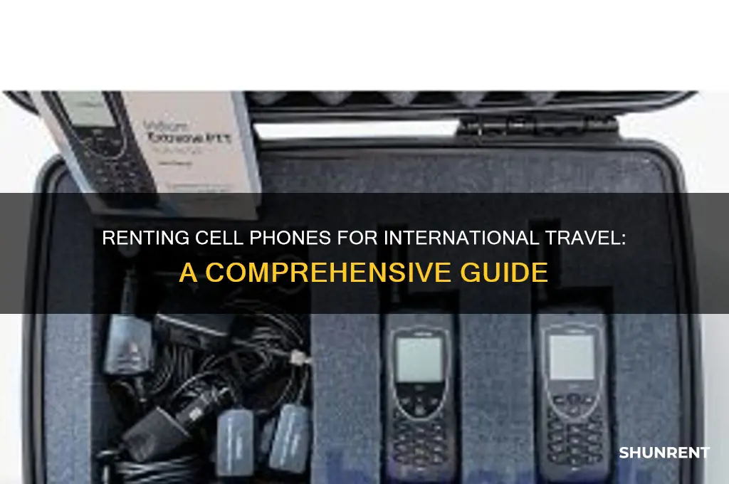 how does renting a cell phone international use work