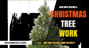 Renting a Christmas Tree: Eco-Friendly Holiday Tradition Explained