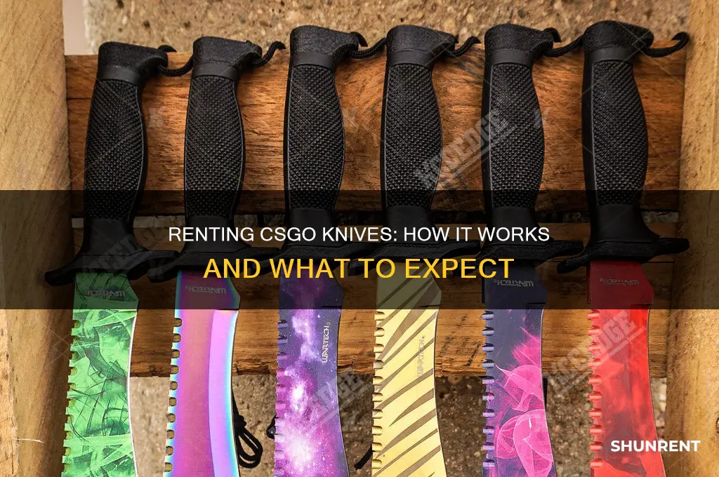 how does renting a csgo knife work