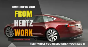 Renting a Tesla from Hertz: A Step-by-Step Guide to the Process