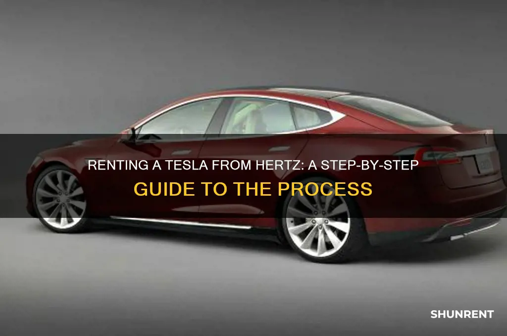 how does renting a tesla from hertz work
