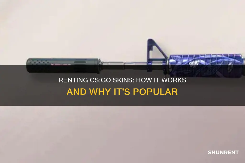 how does renting cs go skins work