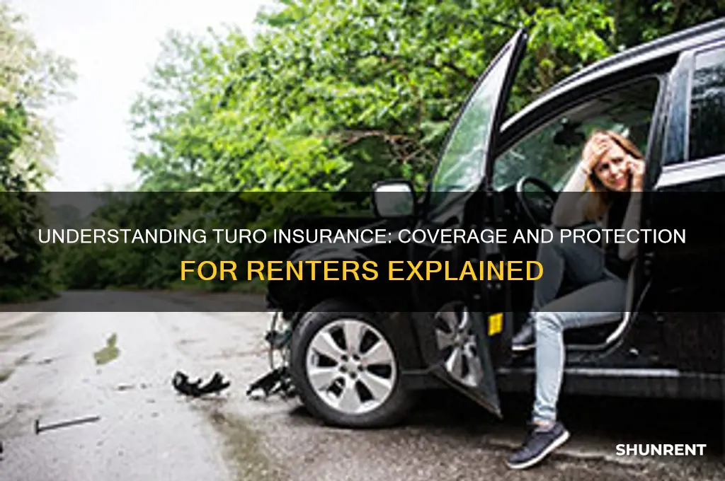 how does turo insurance work for renter