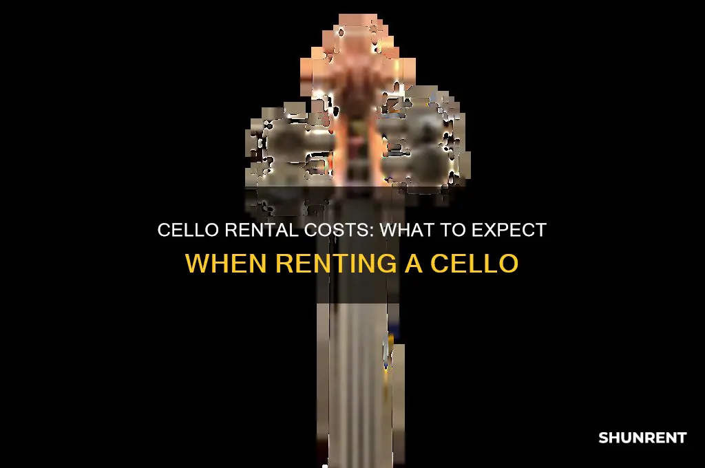 how expensive is it to rent a cello
