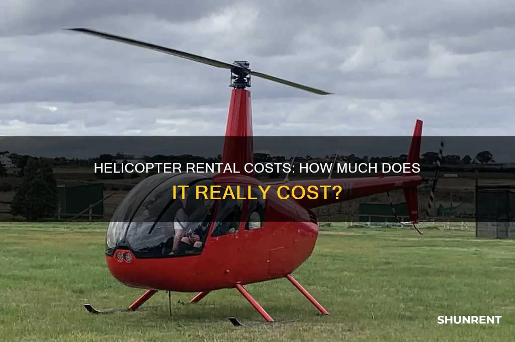 how expensive is it to rent a helicopter