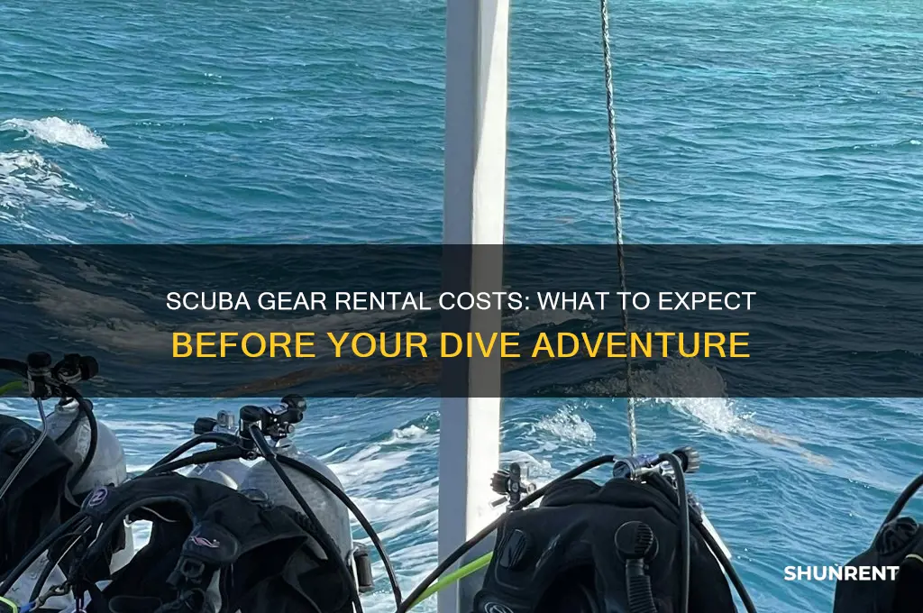 how expensive is it to rent scuba gear