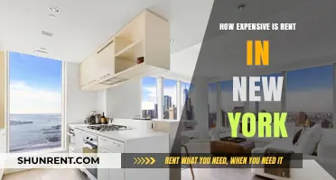 Sky-High Rent in New York: What You Need to Know