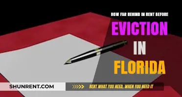 Florida Eviction Process: Understanding Rent Arrears Before Facing Eviction