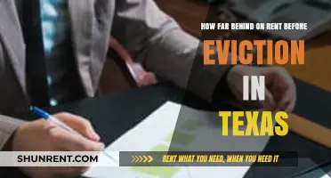 Texas Eviction Process: Understanding Rent Delinquency Timeline and Risks