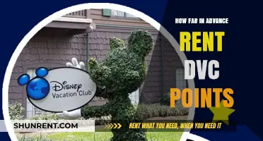 Maximize Your Disney Vacation: Renting DVC Points in Advance