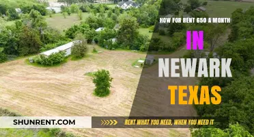 Affordable Living: Finding $650 Monthly Rentals in Newark, Texas
