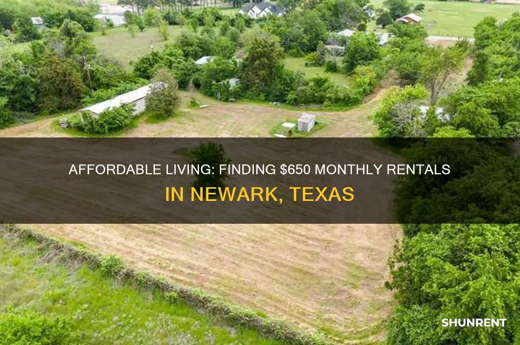 how for rent 650 a month in newark texas