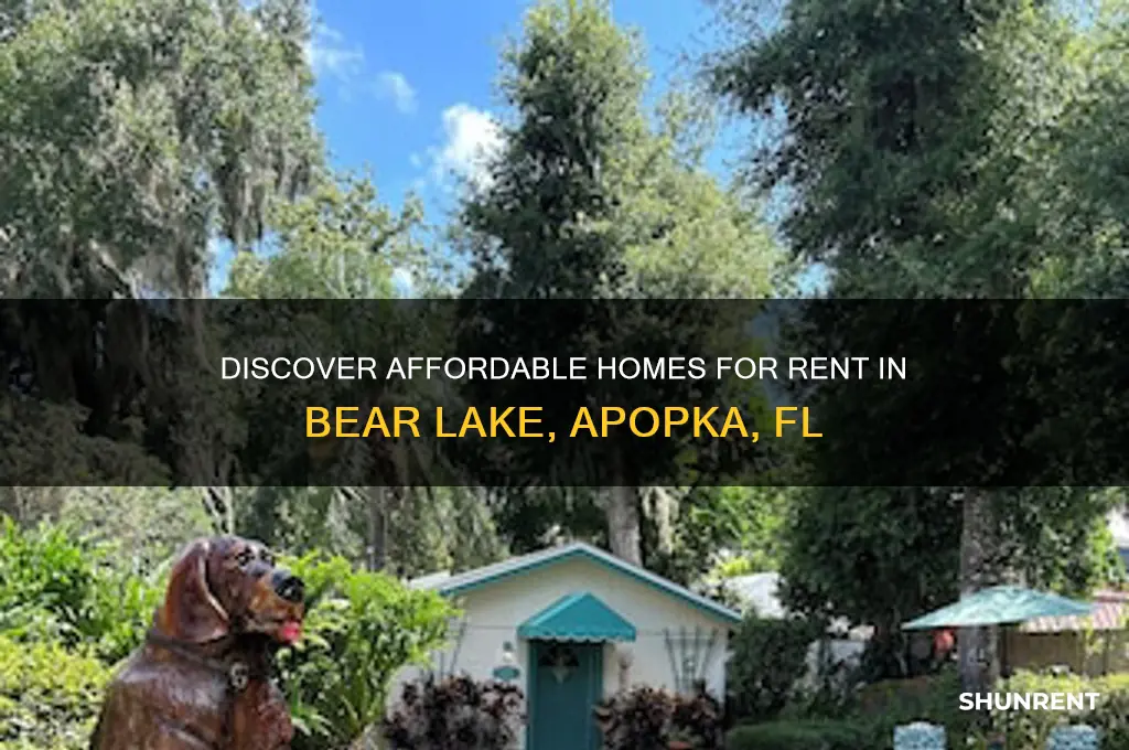 how for rent in bear lake apopka fl