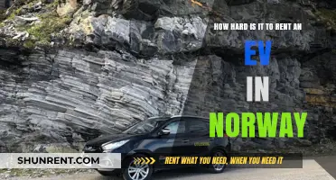 Renting an EV in Norway: Challenges and Surprises Unveiled