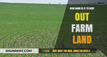 Renting Out Farmland: Challenges and Opportunities for Landowners
