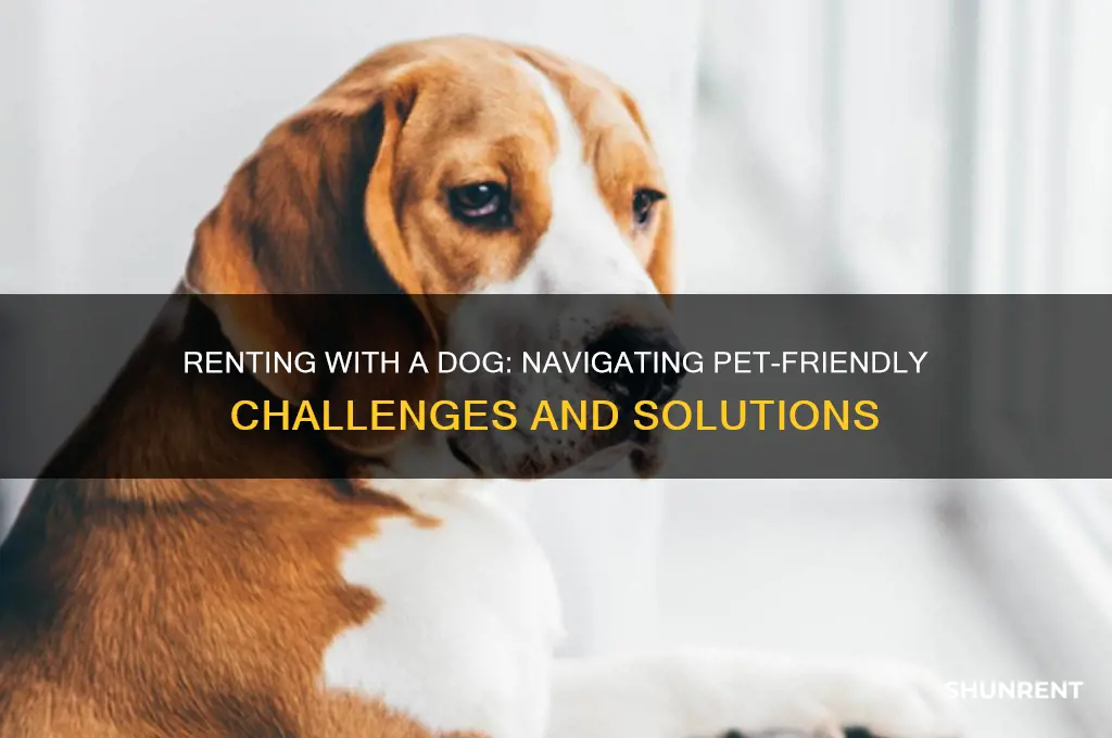 how hard is it to rent with a dog