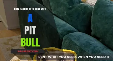 Renting with a Pit Bull: Navigating Challenges and Finding Pet-Friendly Homes