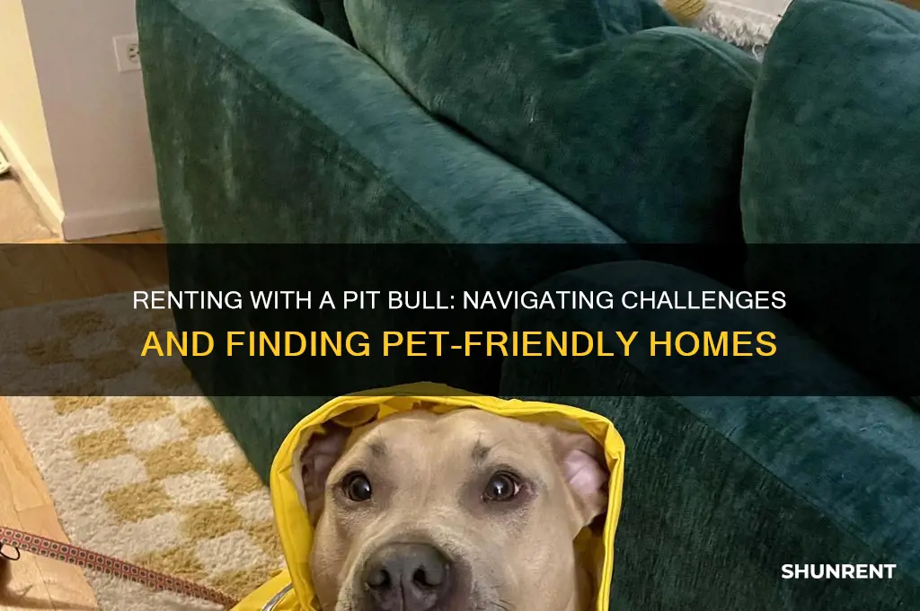 how hard is it to rent with a pit bull