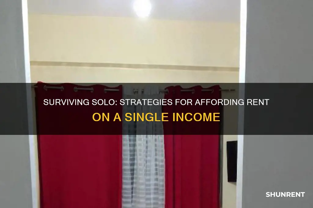 how is a single person supposed to afford rent