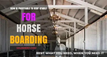 Profitable Horse Boarding: Maximizing Stable Rental Income Strategies