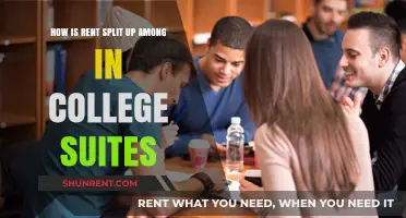 Fair Rent Splitting Strategies for College Suite Roommates Explained
