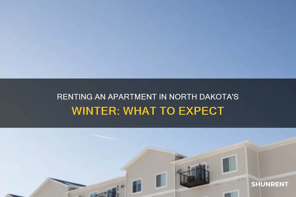 how is renting an apt winter season in nd