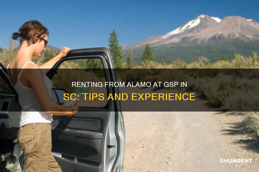how is renting from alamo at gsp in sc