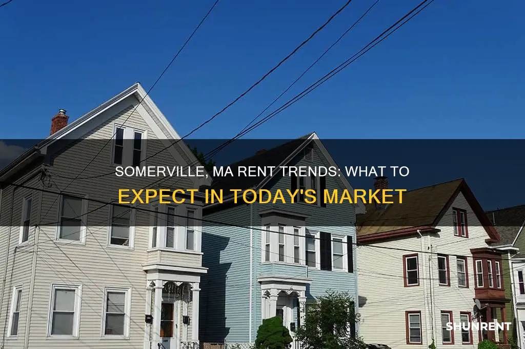 how is the rent in somerville ma