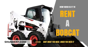 Bobcat Rental Costs: What to Expect When Renting One