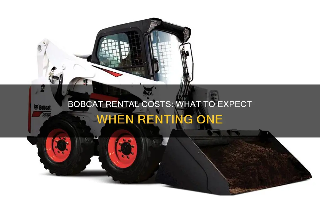 how kuch is it to rent a bobcat
