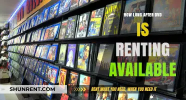 When Can You Rent DVDs After Release: A Quick Guide