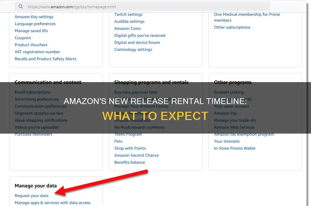how long before amazon lets you rent a new release
