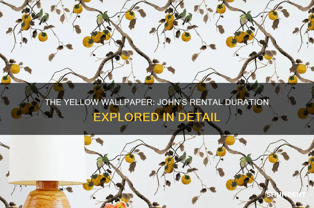 how long did john rent the yellow wallpaper