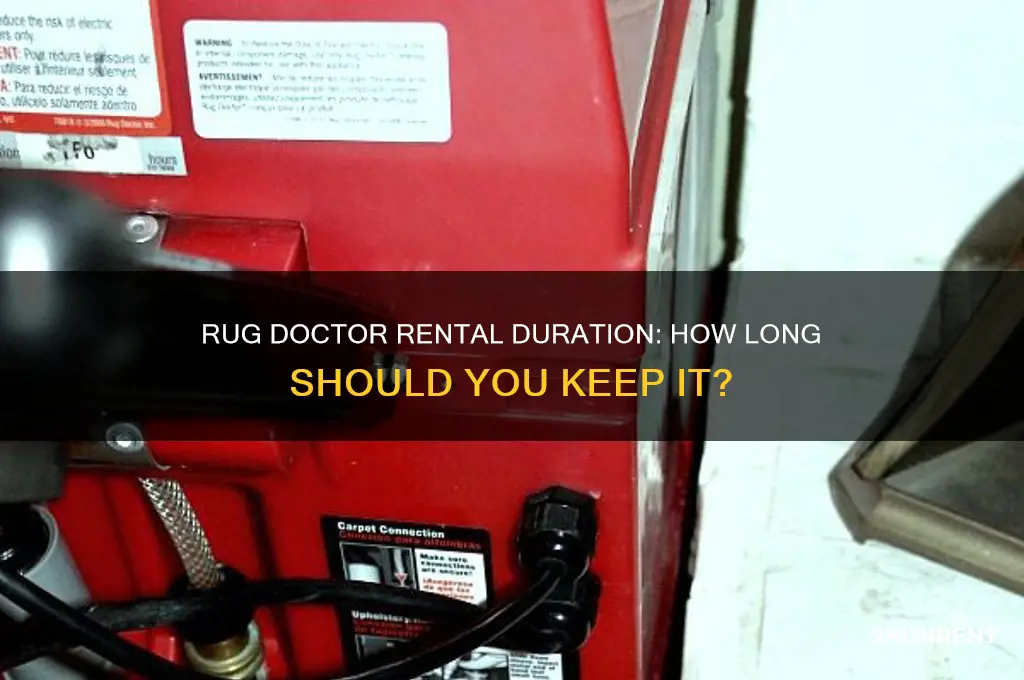 how long do you rent a rug doctor for