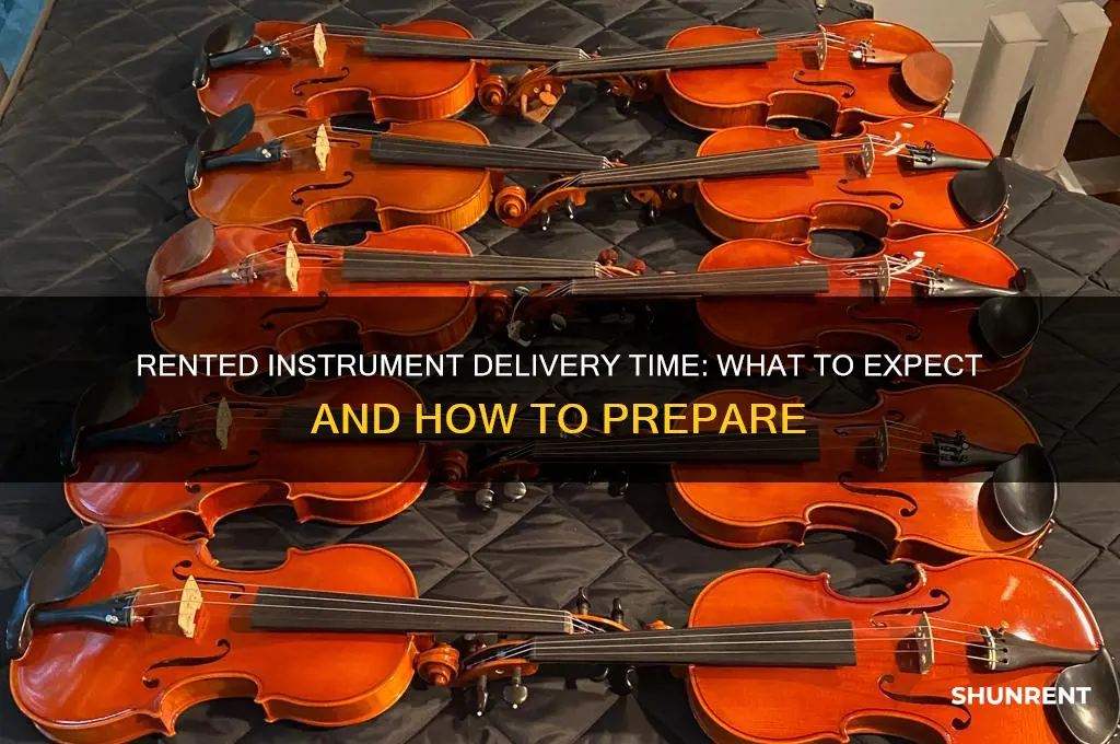 how long does a rented instrument take to come