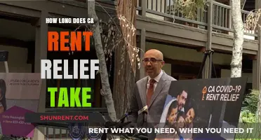 How Long Does CA Rent Relief Processing Take?