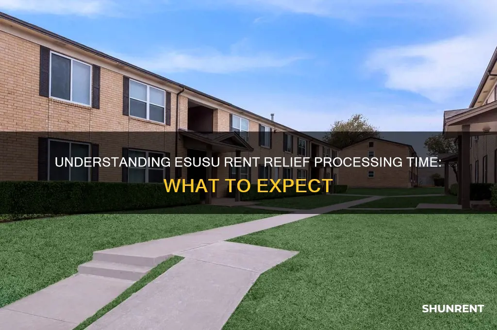 how long does esusu rent relief take