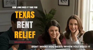 Texas Rent Relief Timeline: How Long Does Assistance Take?