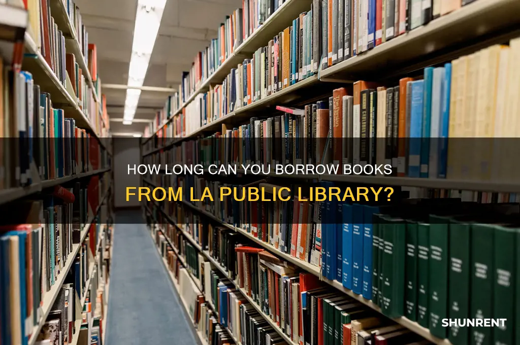 how long does lapl rent books fir
