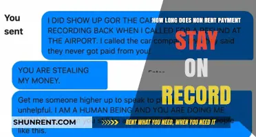 Non-Rent Payment Records: How Long Do They Stay on File?
